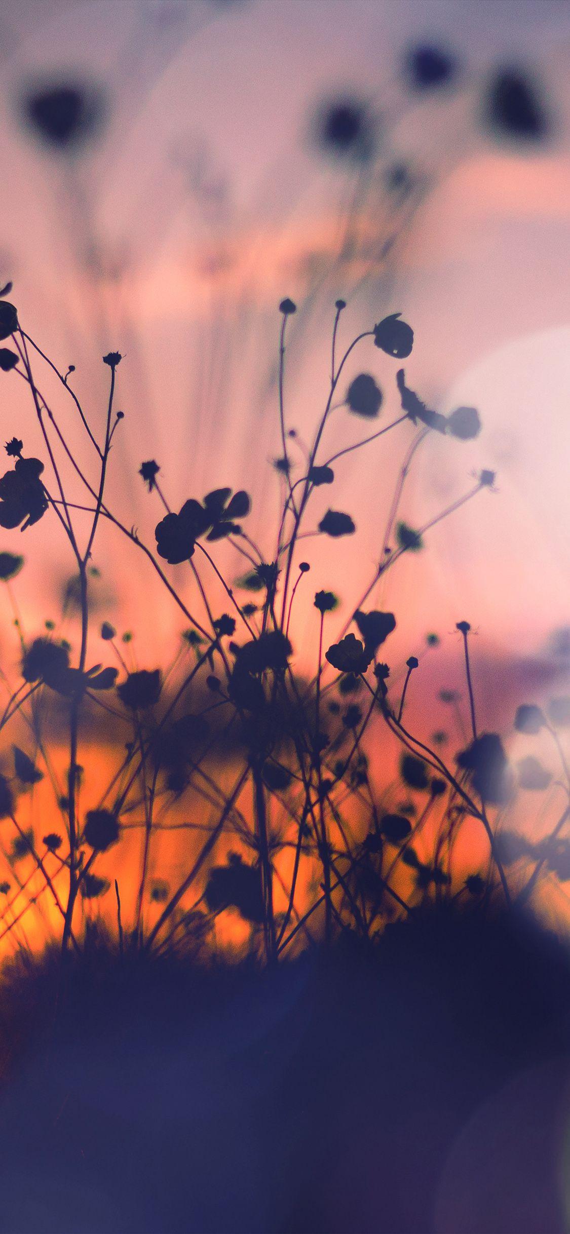 1125x2436 iPhone X wallpaper. night nature flower sunset dark shadow red flare