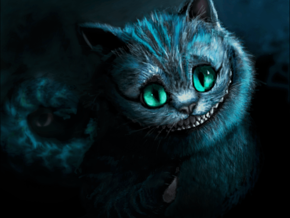 Evil Cat Wallpapers - Top Free Evil Cat Backgrounds - WallpaperAccess