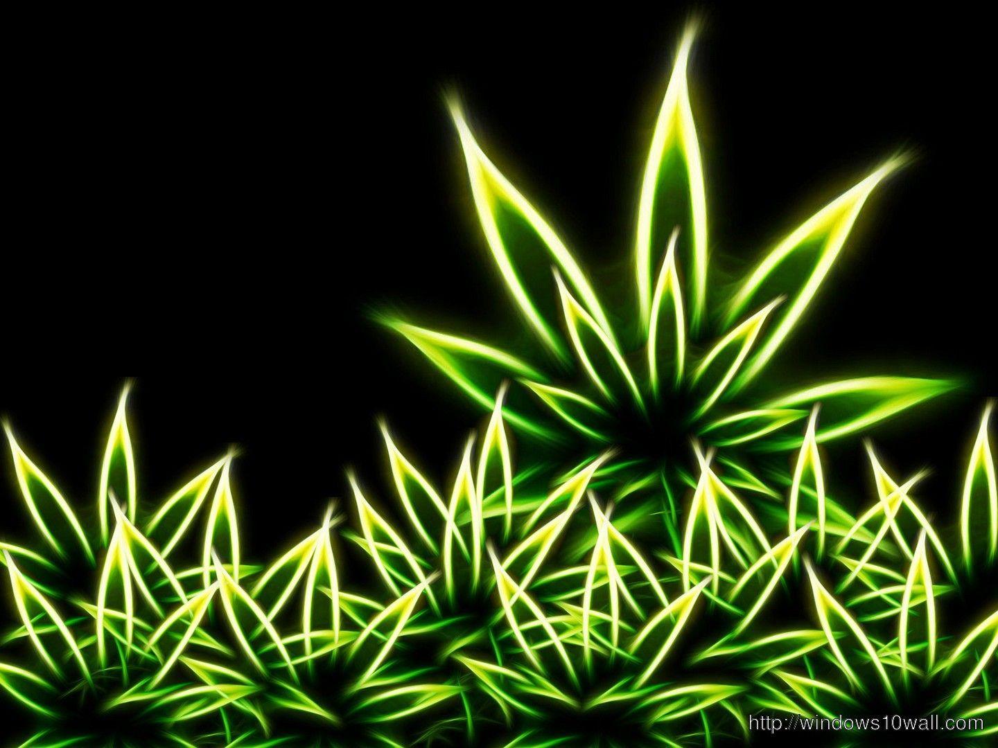 1440x1080 weed background