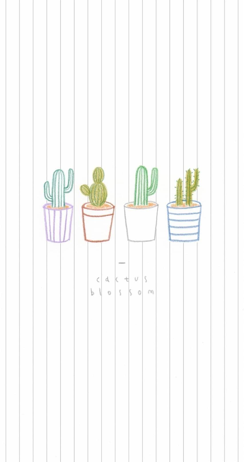 852x1608 Cactus Wallpaper Tumblr Desktop
