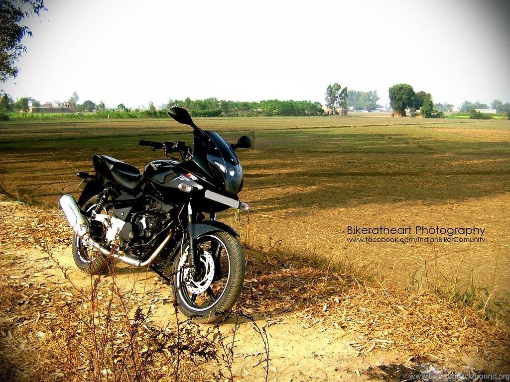 1024x768 Bajaj Pulsar 220 Wallpaper 17 Desktop Background