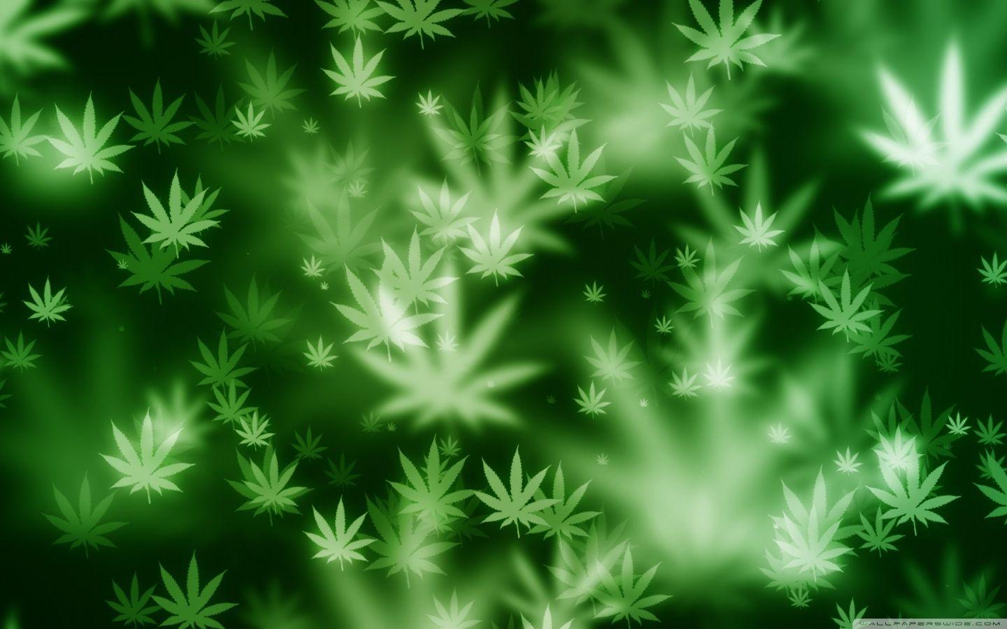 1440x900 Weed Bokeh Ultra HD Desktop Background Wallpaper for 4K UHD TV : Widescreen & UltraWide Desktop & Laptop : Tablet