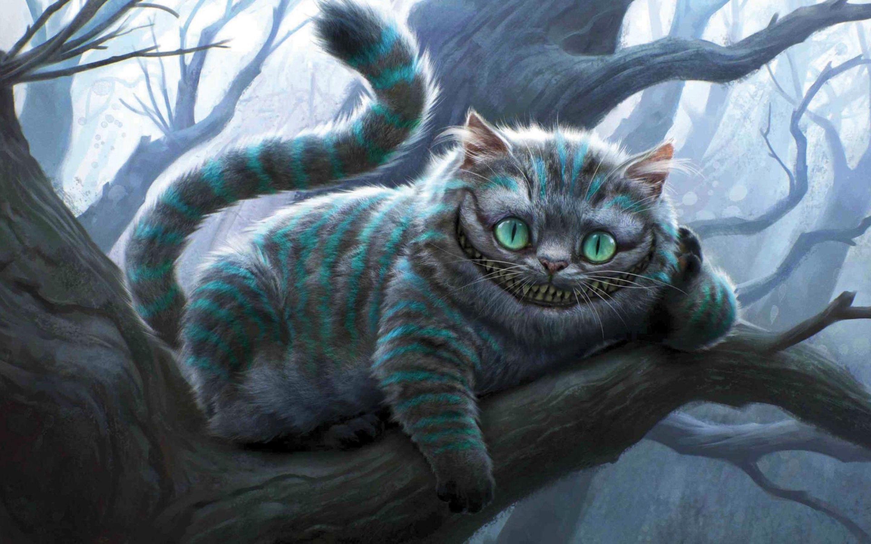 Creepy Cat Wallpapers - Top Free Creepy Cat Backgrounds - WallpaperAccess