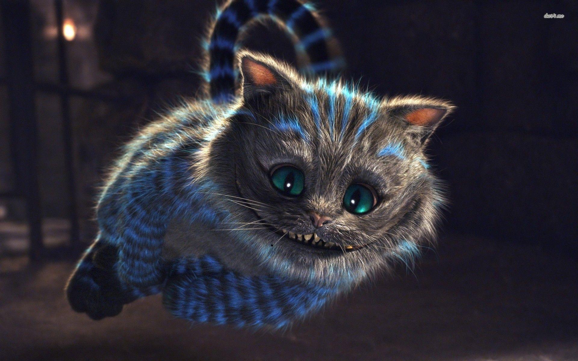 1920x1200 Cheshire Cat Wallpaper. Cheshire cat wallpaper, Alice in wonderland, Cheshire cat