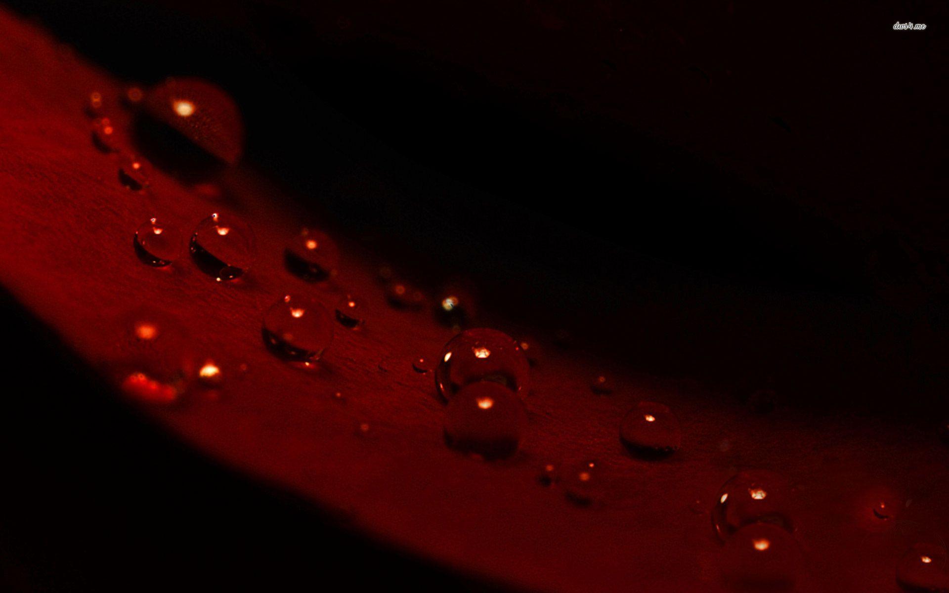 1920x1200 winter Archives