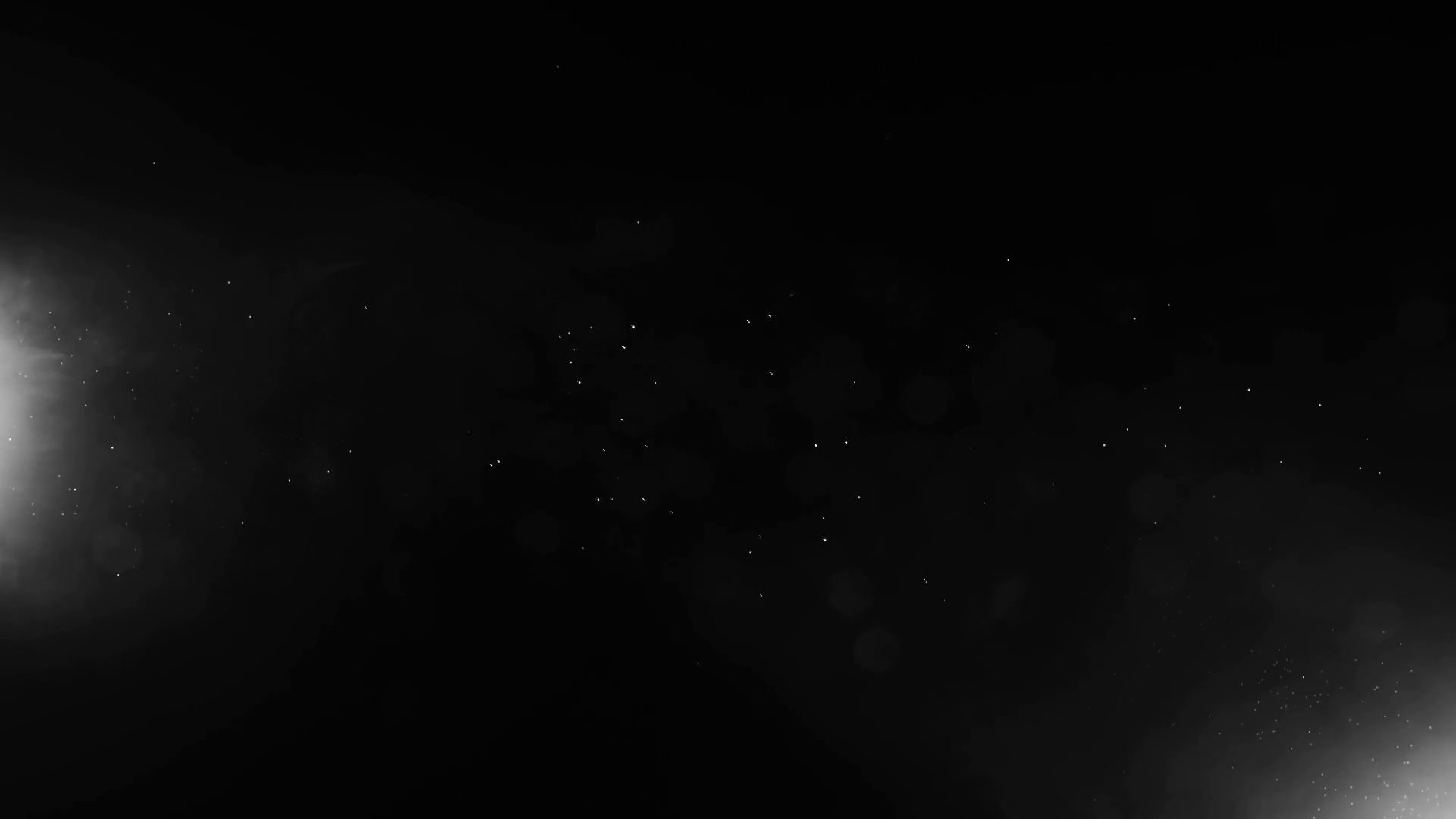 1920x1080 Natural Organic Dust Particles Floating On Black Background. Dynamic Dust Particles Randomly Float In Space. Shimmering Glittering Dust Particles With Bokeh. Slow motion on Black Background
