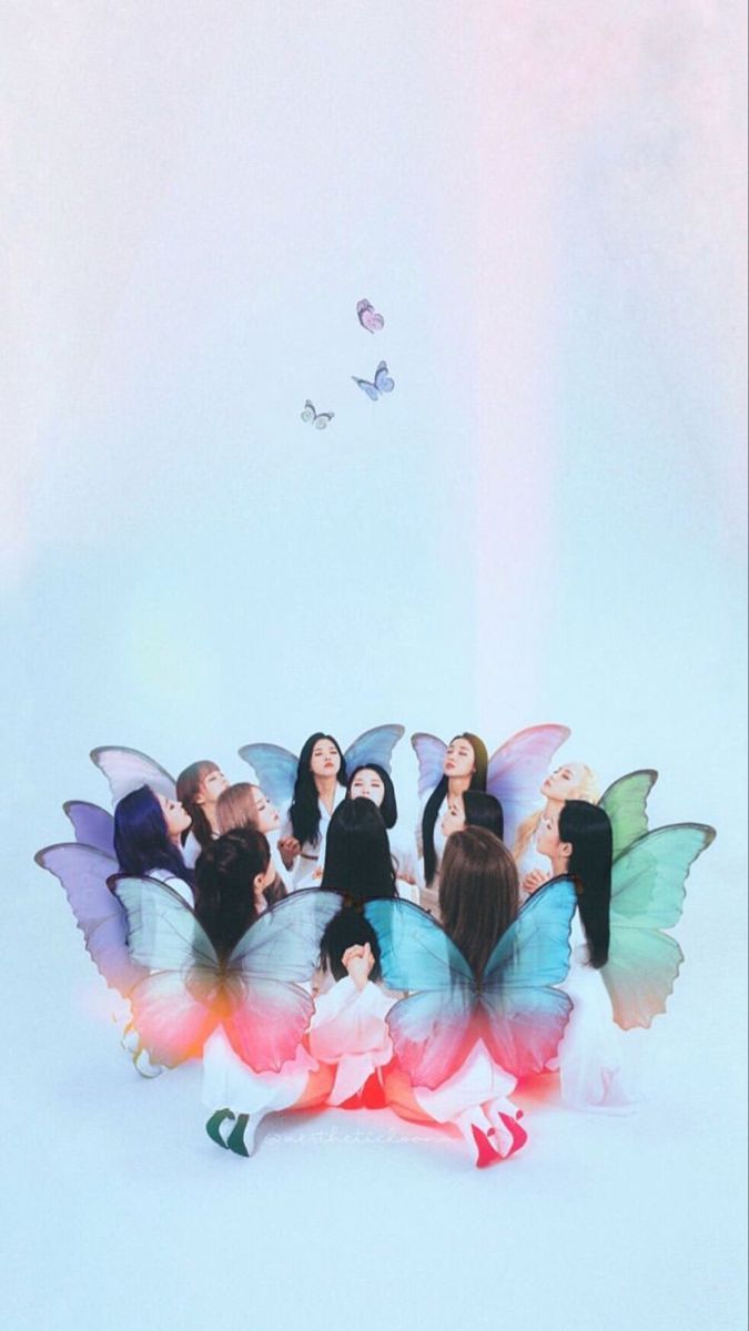 675x1200 loona xx butterfly wallpaper
