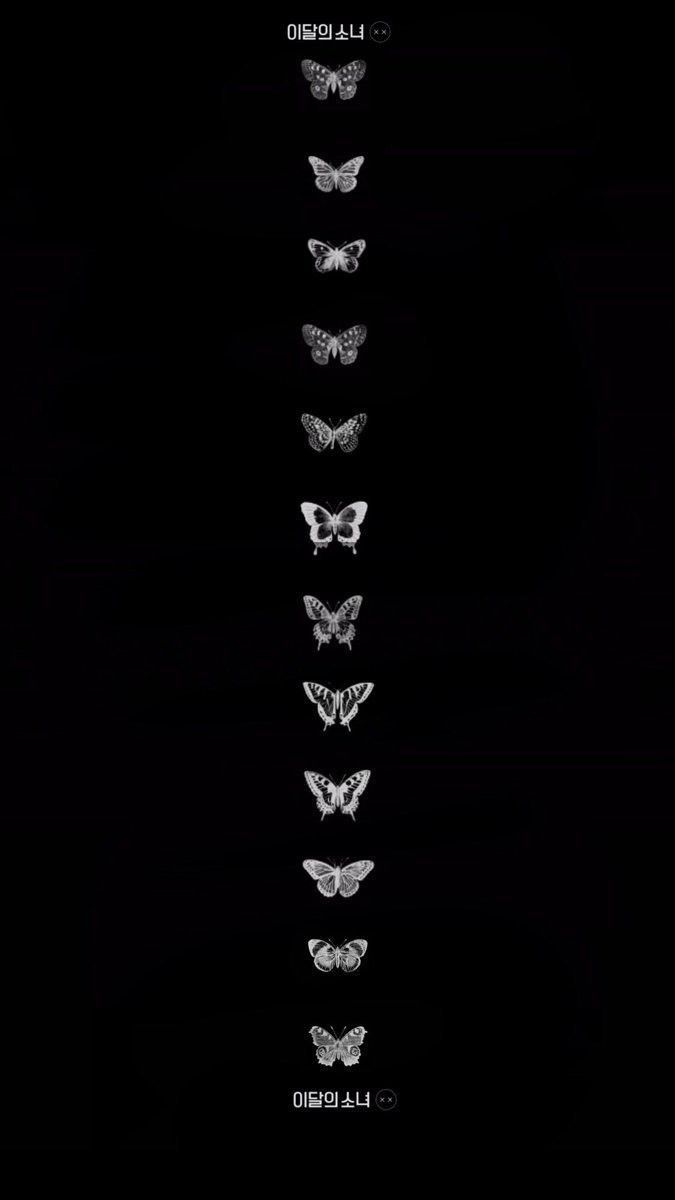 675x1200 LOONA BUTTERFLUY