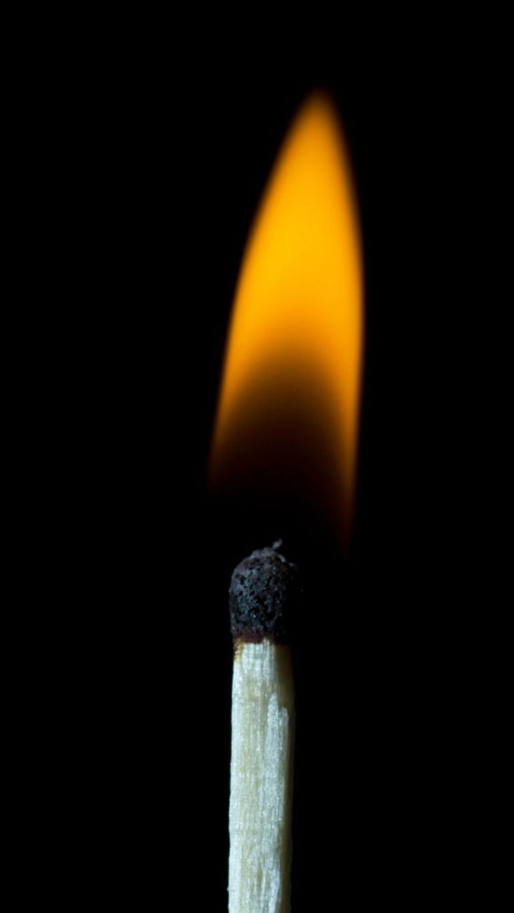 736x1308 Phone Wallpaper HD Background Download