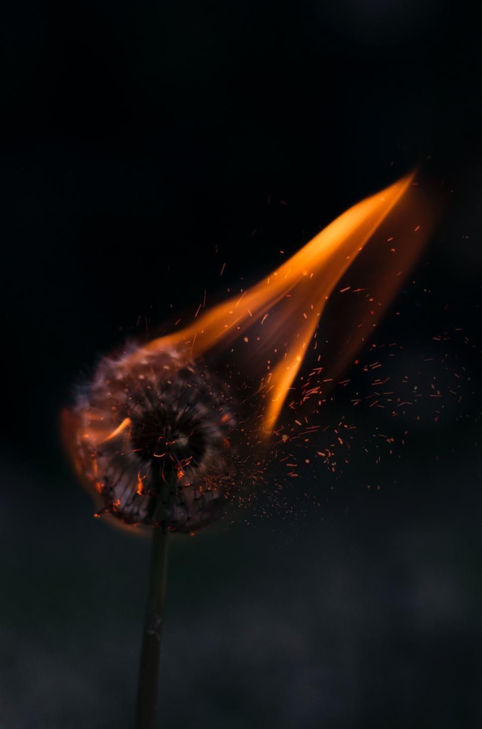 970x1465 Free of A Burning Matchstick in Black Background. Download Free Image and Free Illustrations