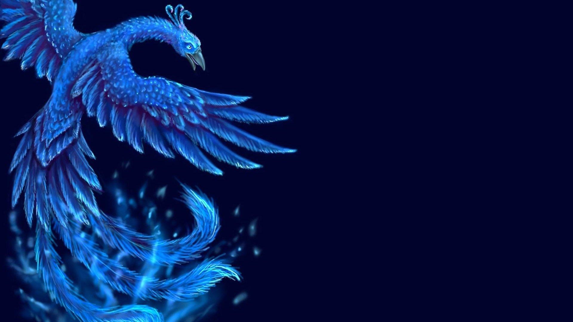 1920x1080 HD Wallpaper Ice Phoenix Live Wallpaper HD
