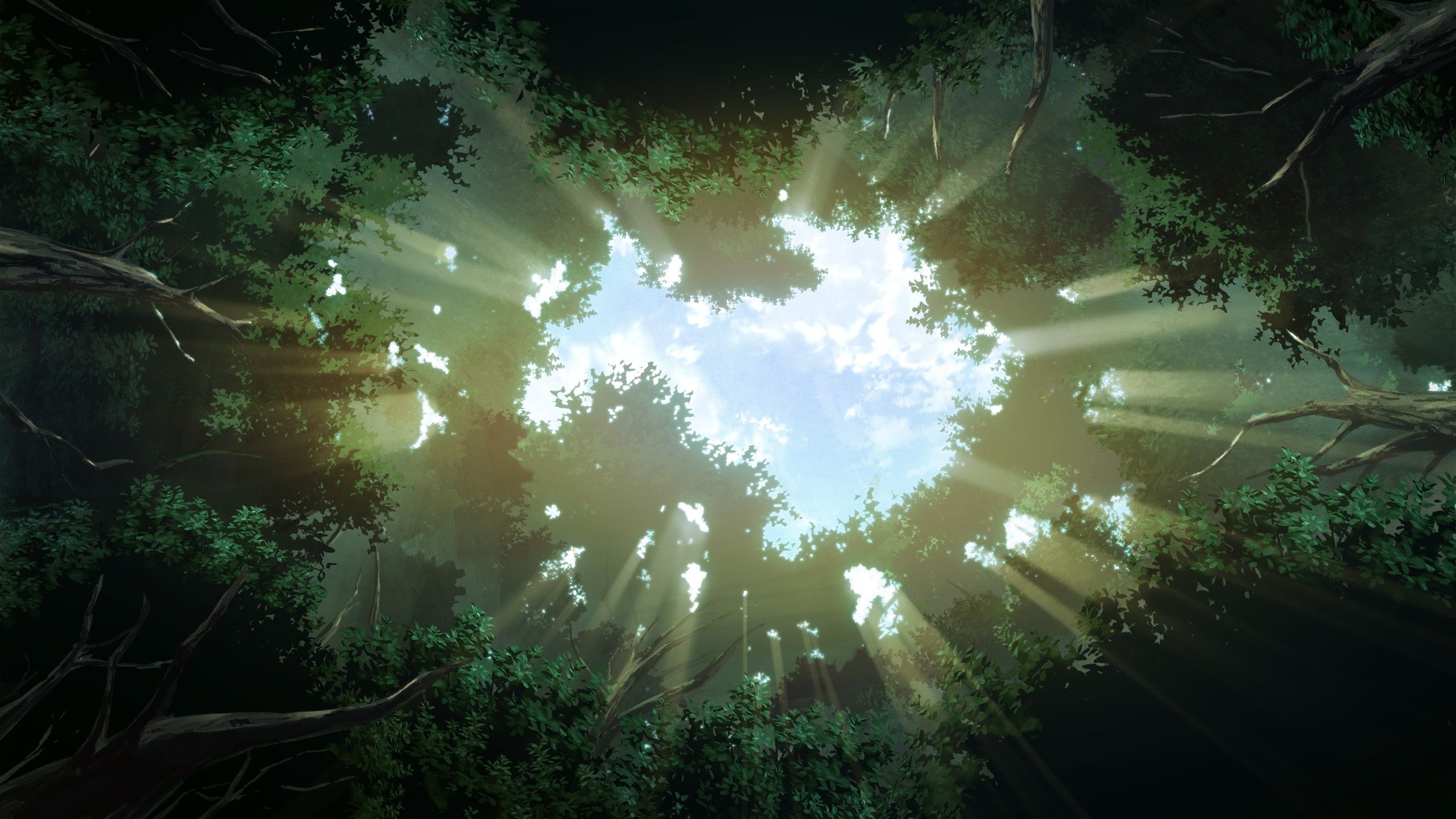 2560x1440 Wallpaper the sun, light, trees, nature, foliage, anime, art, grisa of no kajitsu for mobile and desktop, section аниме, resolution 2560x1440