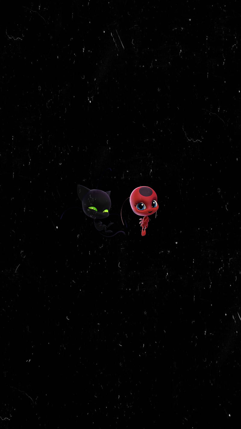 800x1422 Miraculous Kwamis, cat noir, chat noir, kwami, ladybug, miraculous ladybug, plagg, HD phone wallpaper