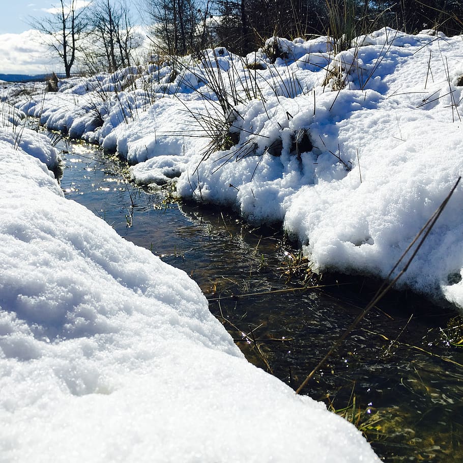 910x910 HD wallpaper: united kingdom, harrogate, snow, winter, stream, water, spring