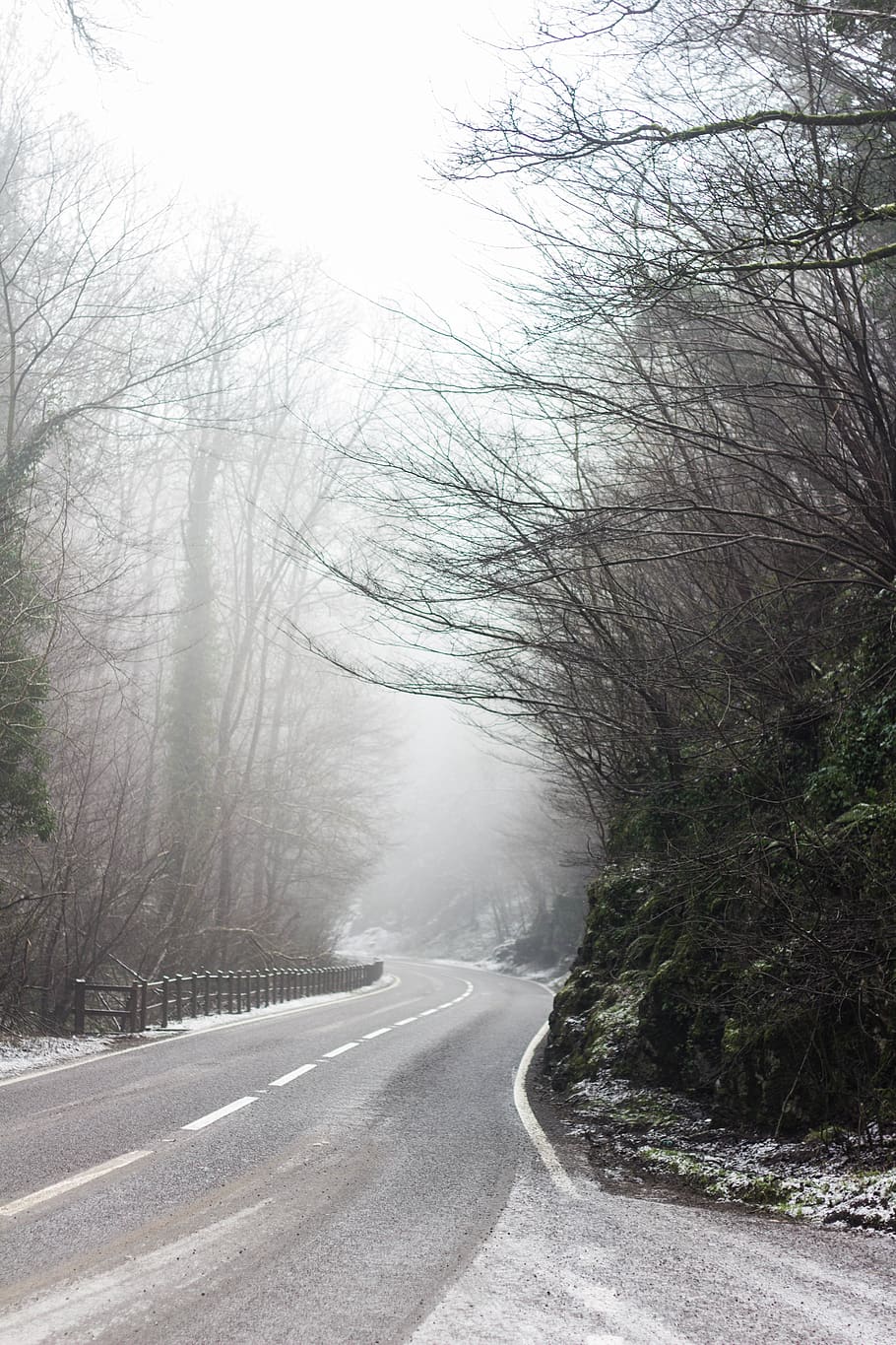 910x1365 HD wallpaper: united kingdom, derbyshire, winter, fog, mist, misty, foggy