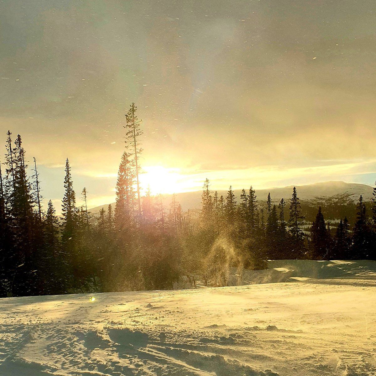 1200x1200 Copperhill Mountain Lodge Ski In, Ski Out Access: Picture & Reviews