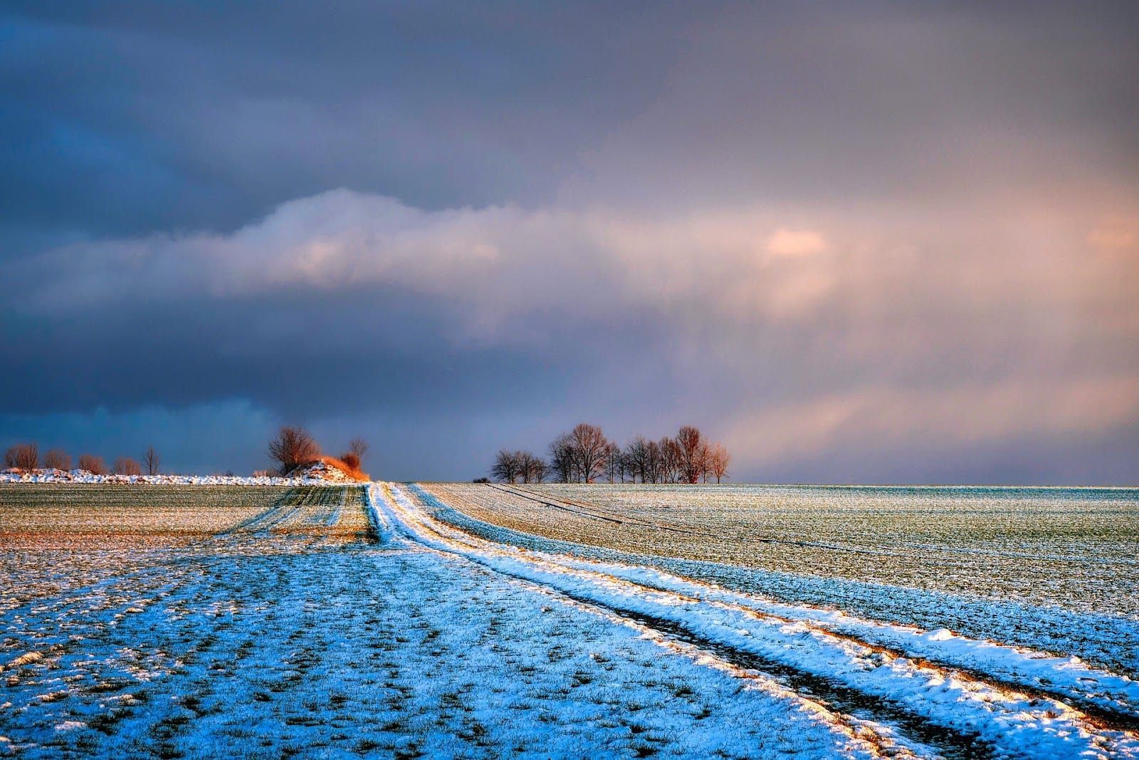 1600x1067 United Kingdom: an excessively warm winter, a record for February