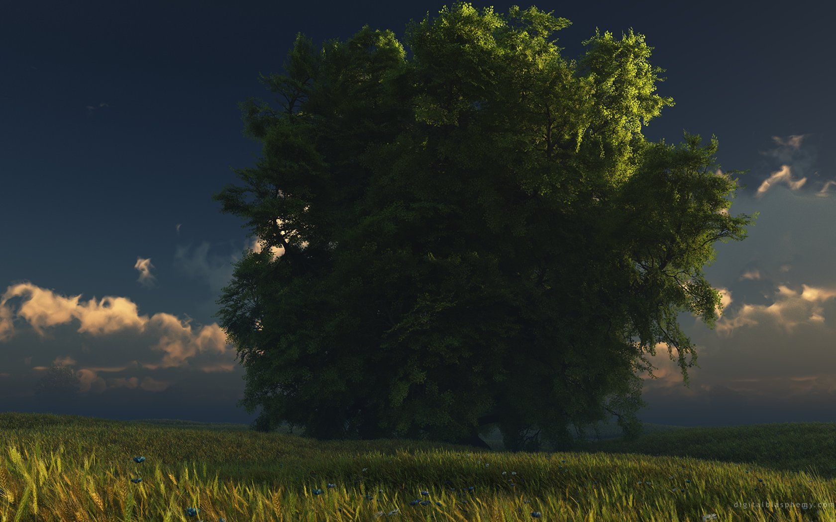 1680x1050 Majestic Nature: HD Tree in Tranquil Evening Lightx1050