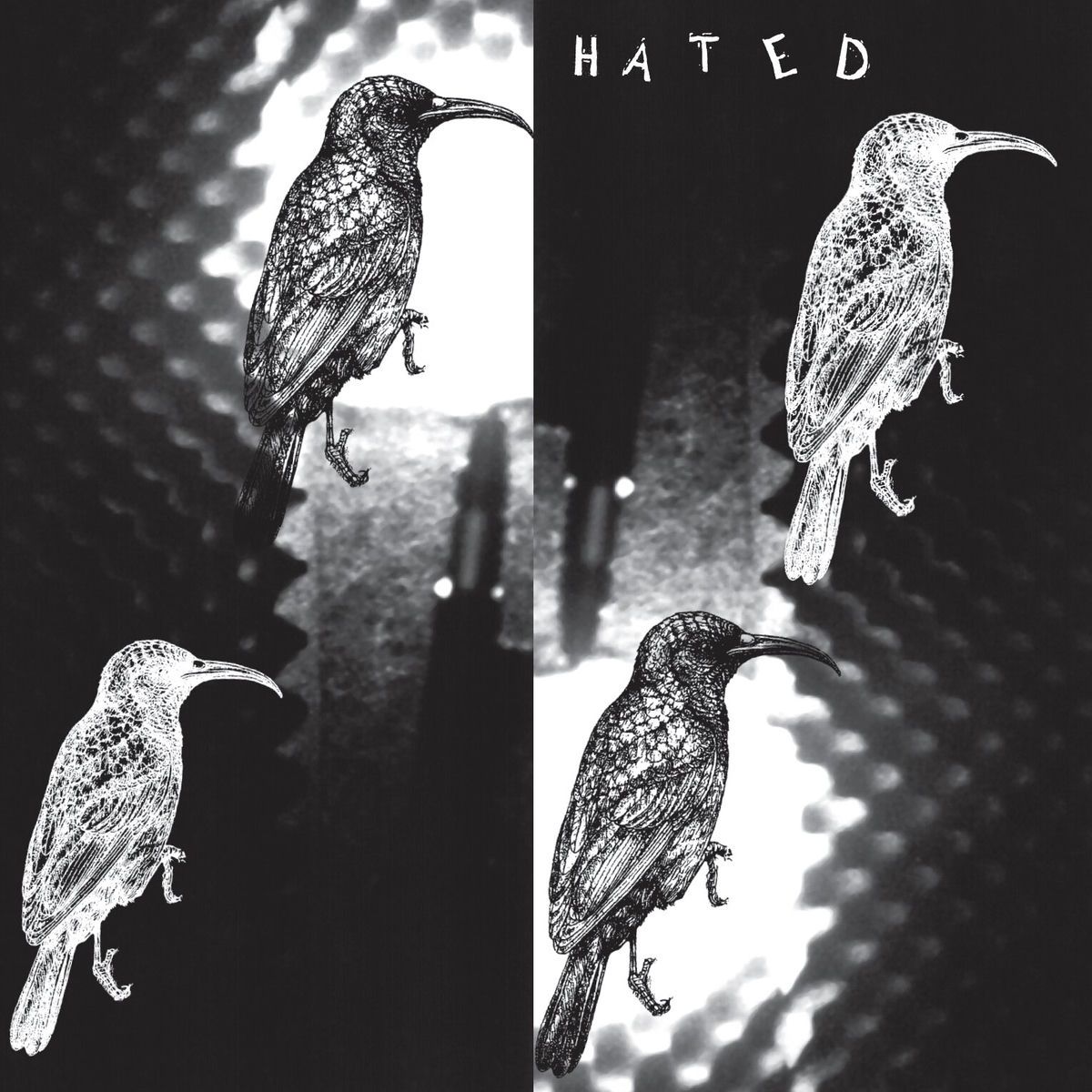 1200x1200 The Hated.S. Eliot B W Summer Down