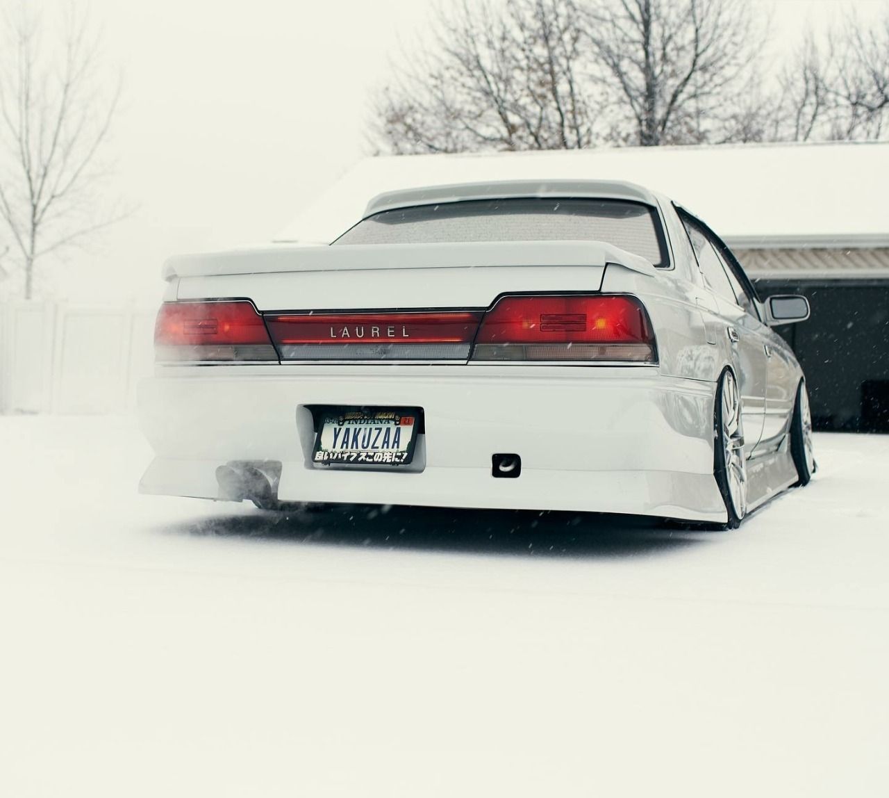 1280x1148 ❄ C33 LAUREL ❄