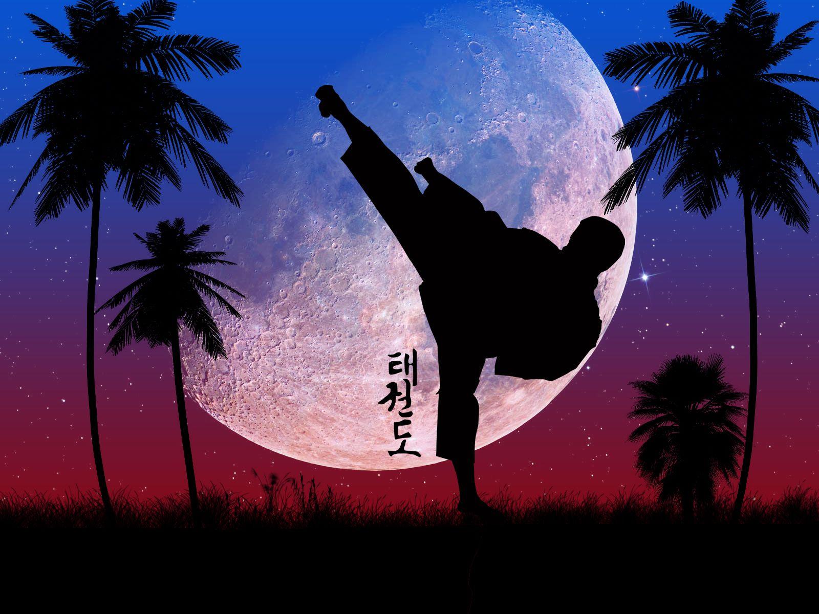 1600x1200 taekwondo itf wallpaper