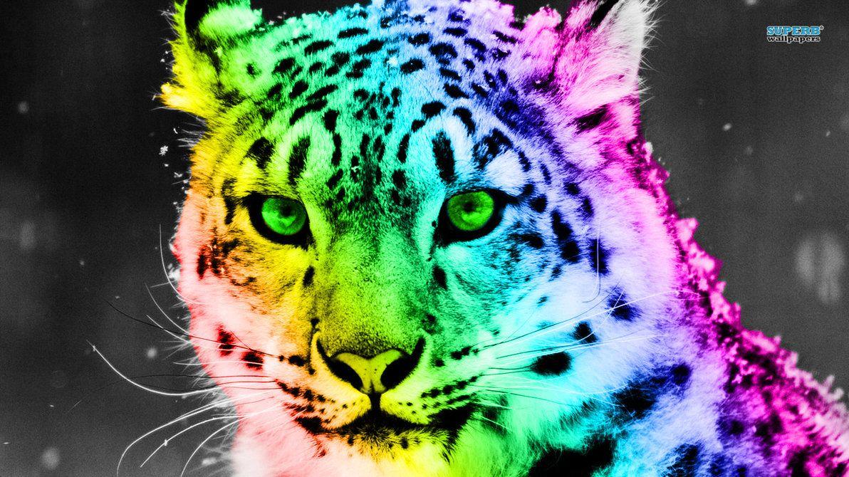 1192x670 Hình nền Cheetah đầy màu sắc