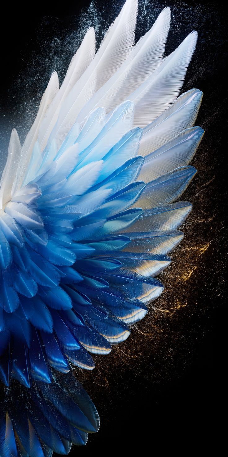 736x1472 Tecno Camon 40 Pro Wallpaper