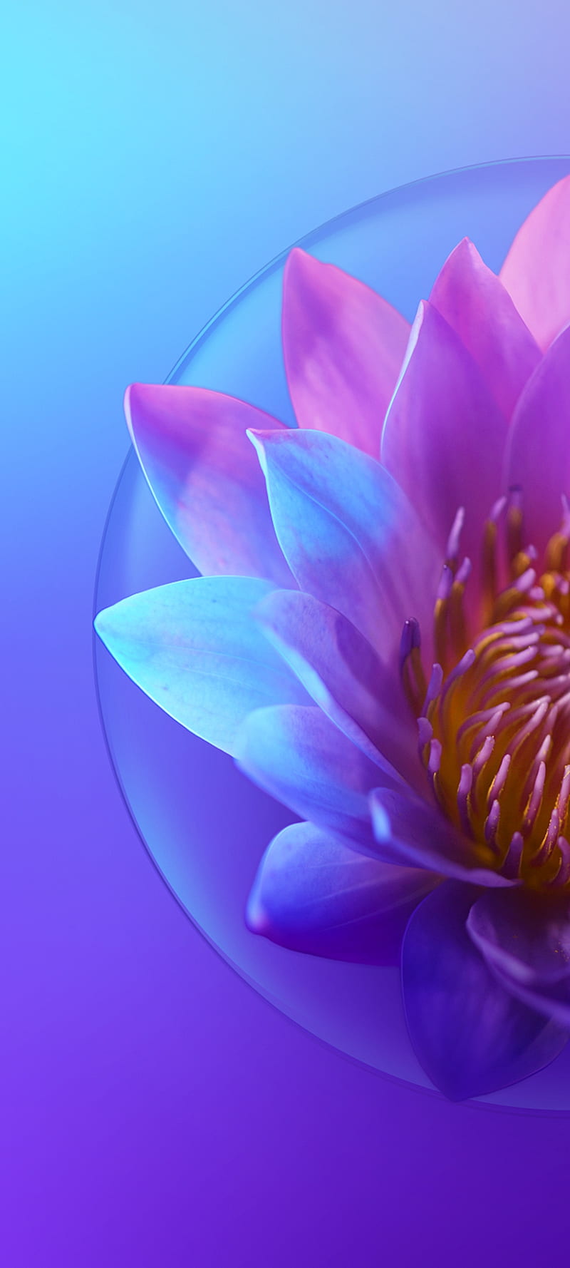800x1778 Tecno Camon 15 Air, tecno camon, HD phone wallpaper