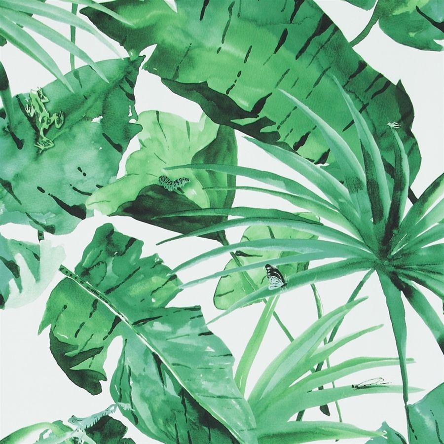900x900 Green Leaf Wallpaper