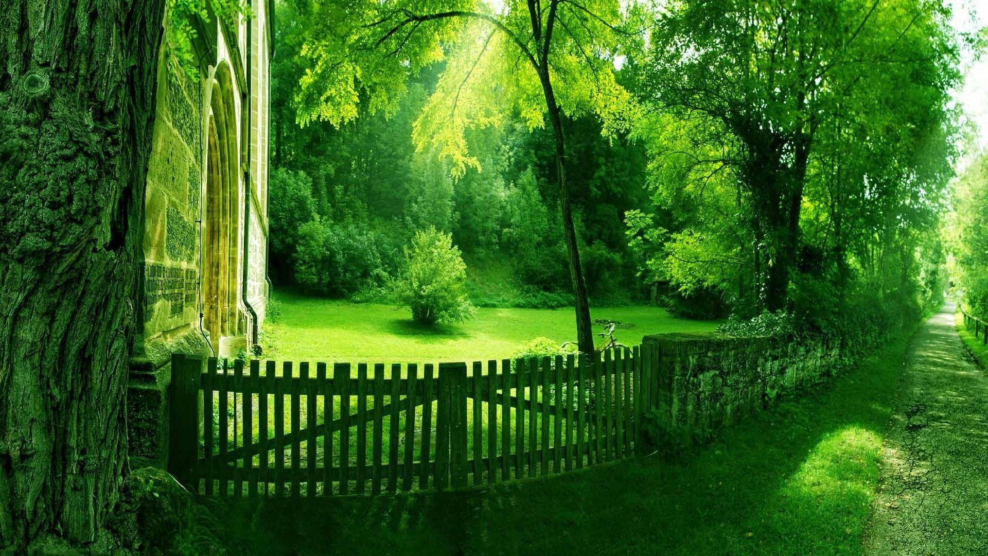1920x1080 Green Leaf HD Wallpaper Live Wallpaper HD