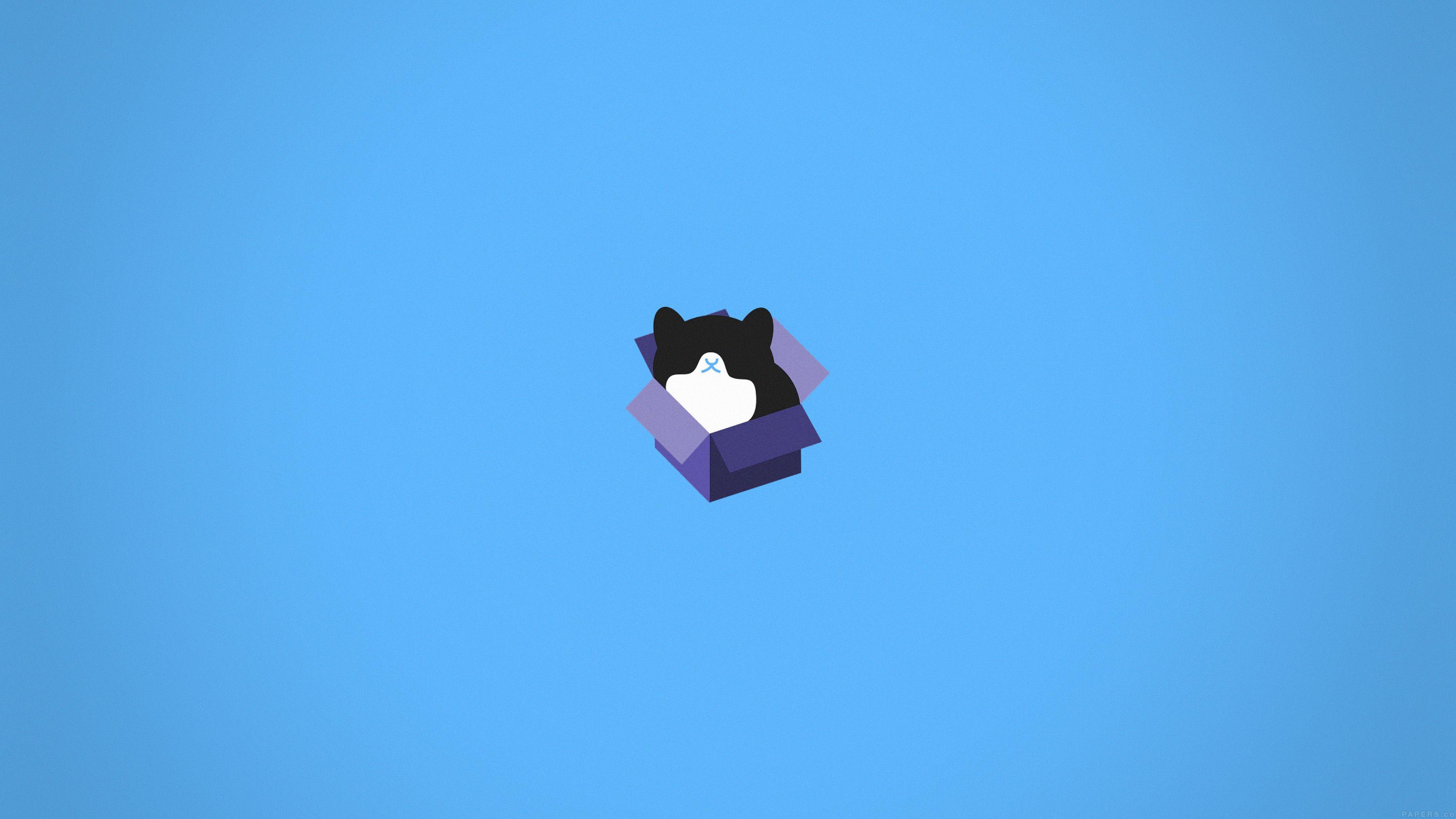 3840x2160 Cat Box Blue Illust Animal Art Minimal