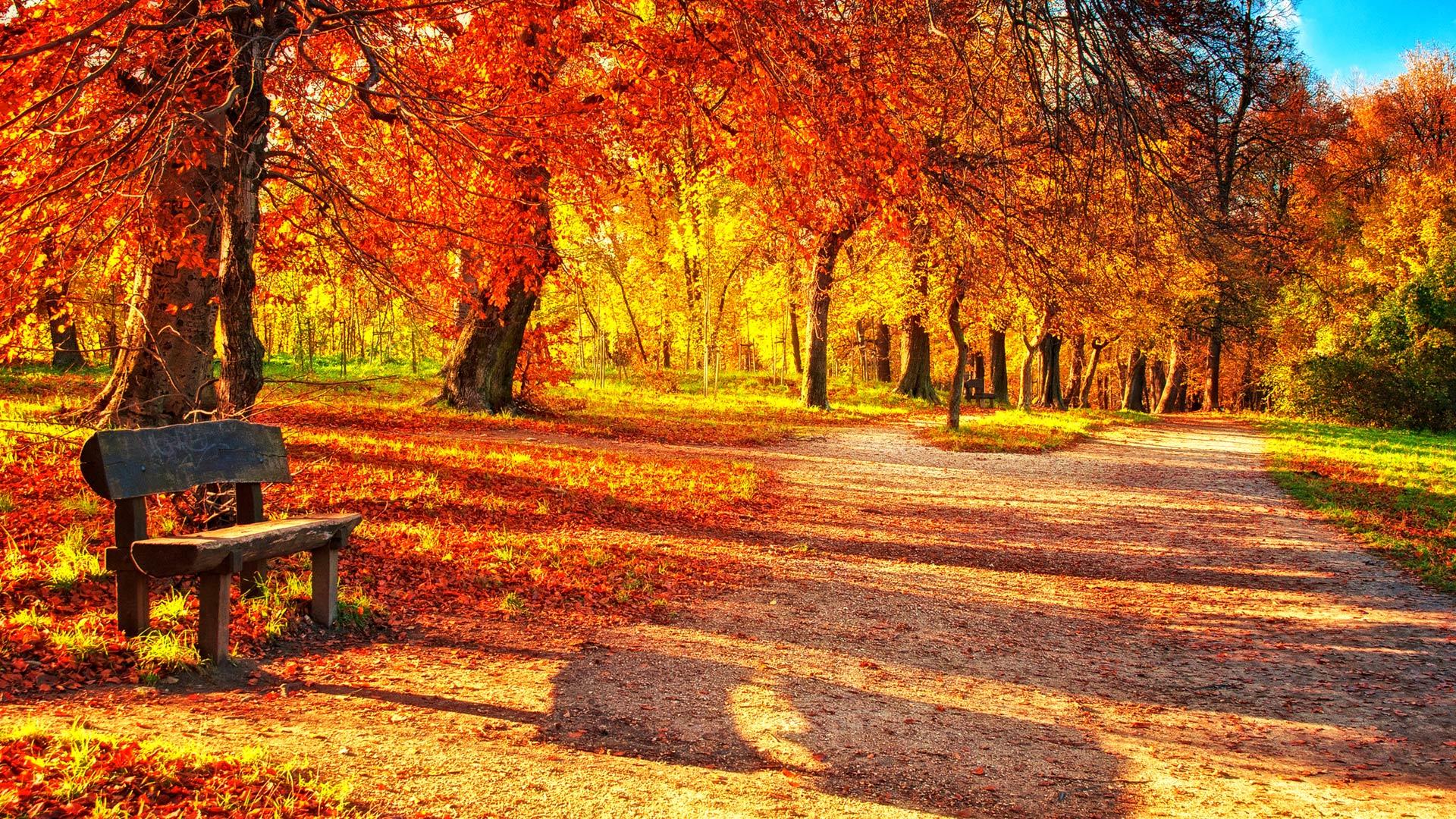 1920x1080 Hd Fall Wallpaper
