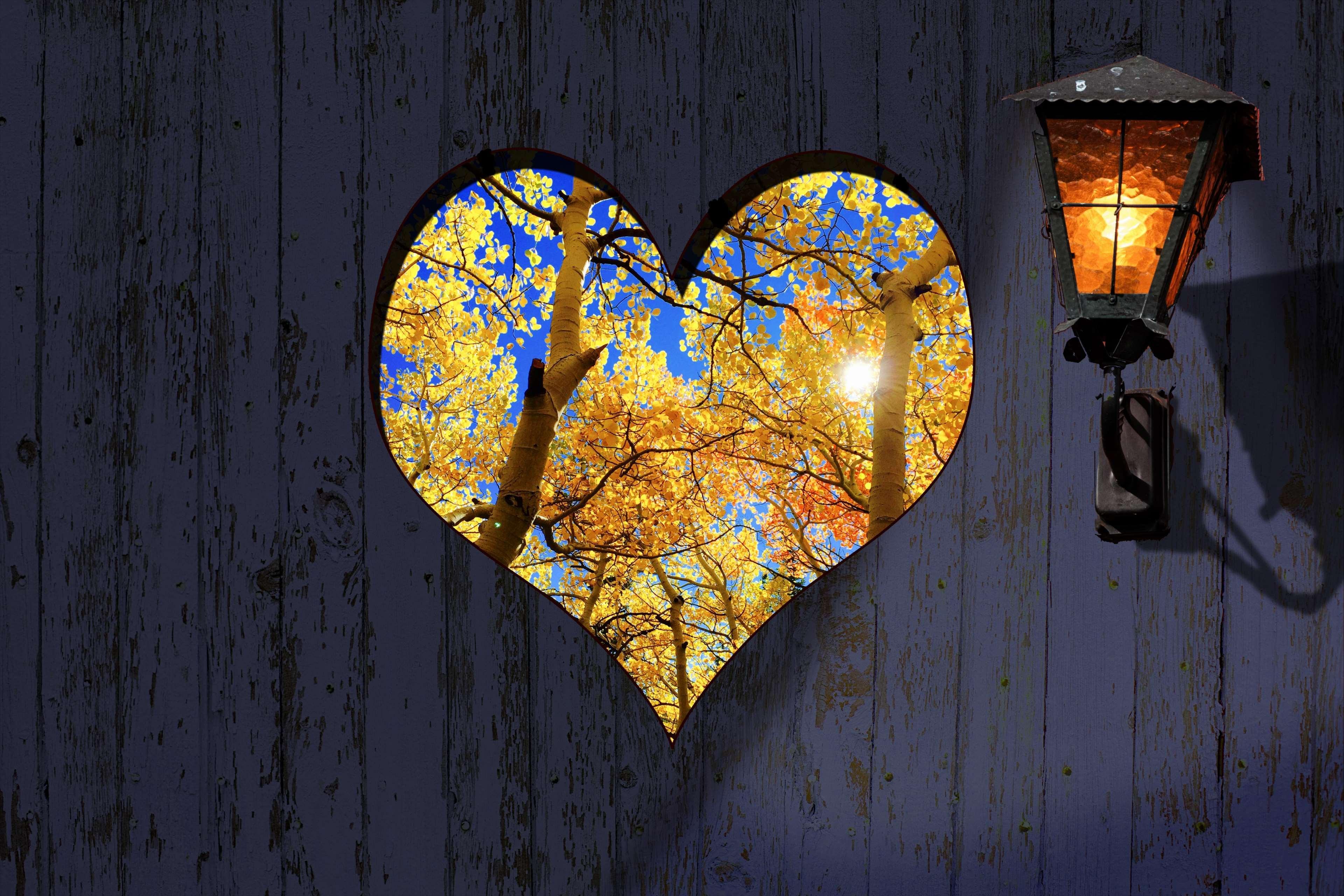 3840x2560 Desktop Fall Leaves Wallpaper