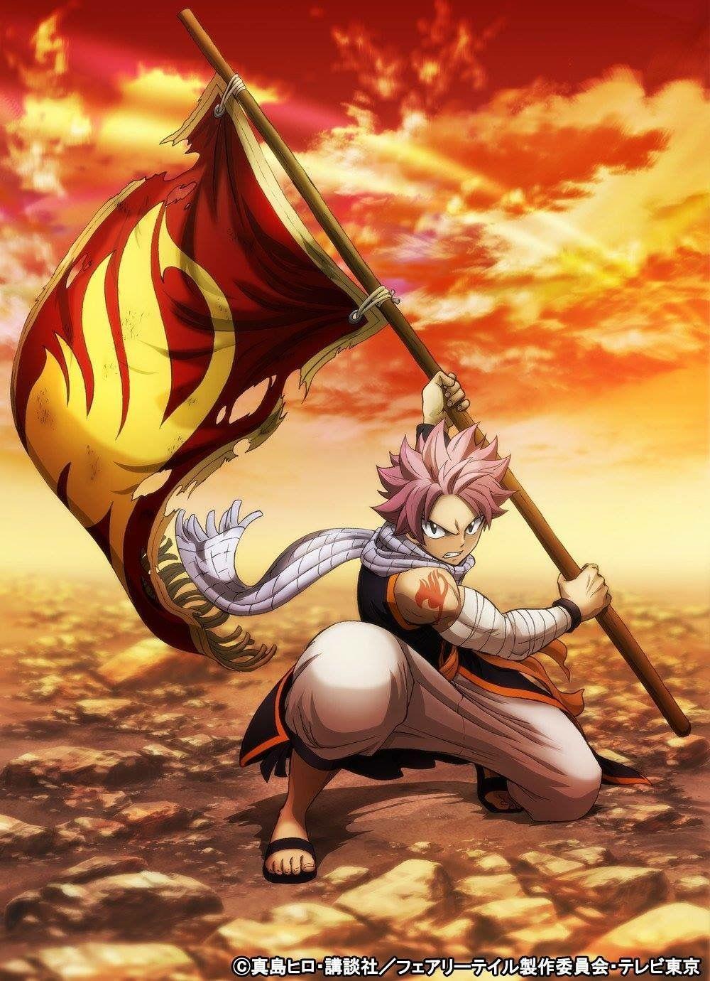 1000x1380 Fairy Tail Flag Wallpaper Free HD Wallpaper