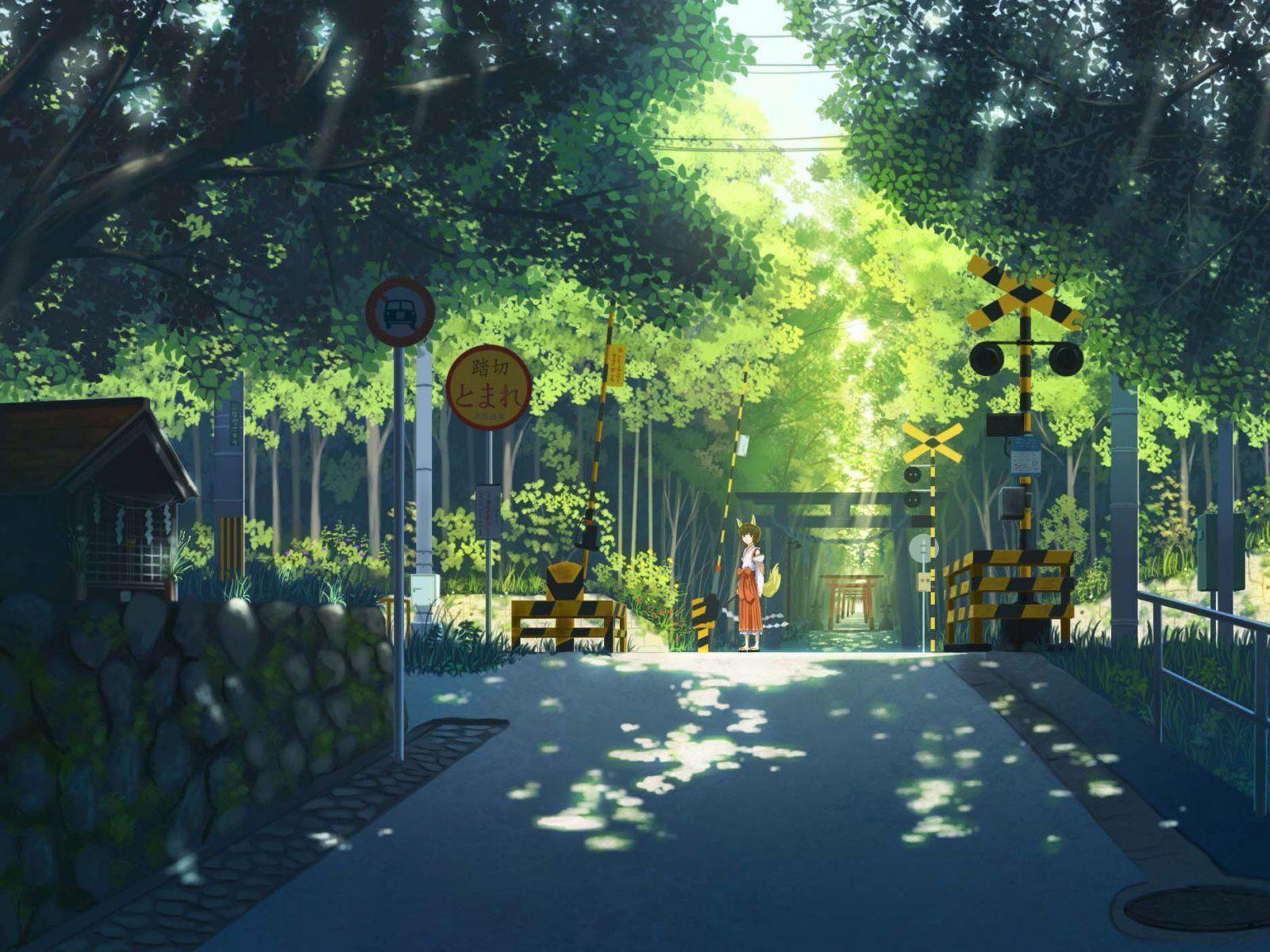 Animation drawing and scenery anime 1021505 on animeshercom