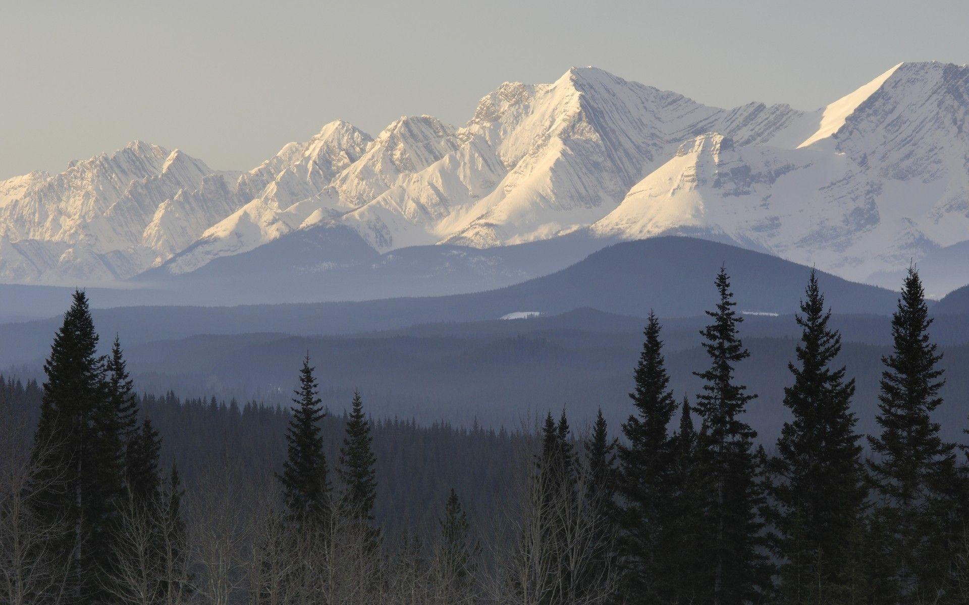1920x1200 Taiga mountains snow trees forest scenic wallpaperx1200