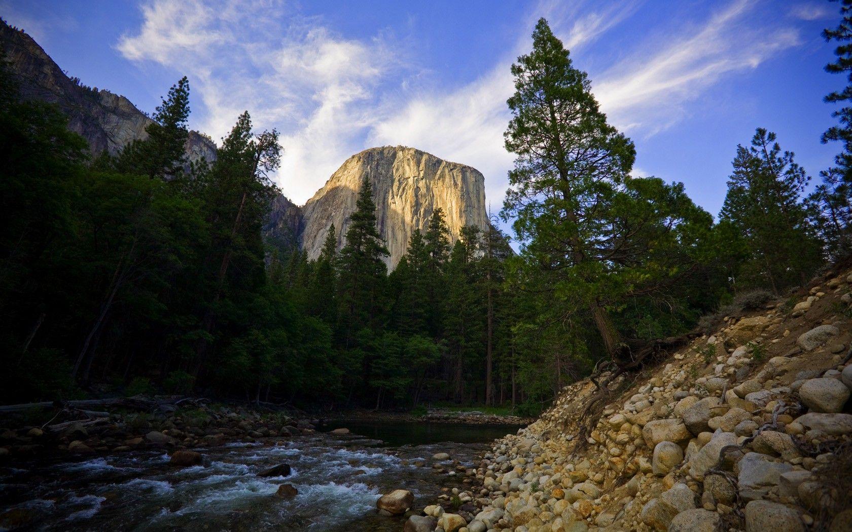 1680x1050 Forests: Sky Trees Mountain El Capitan Tree Beautiful Hill Forest