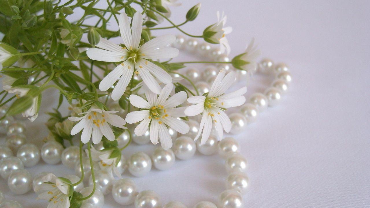 1280x720 Download wallpaper 1280x720 flowers, white, small, beads, pearls hd, hdv, 720p HD background