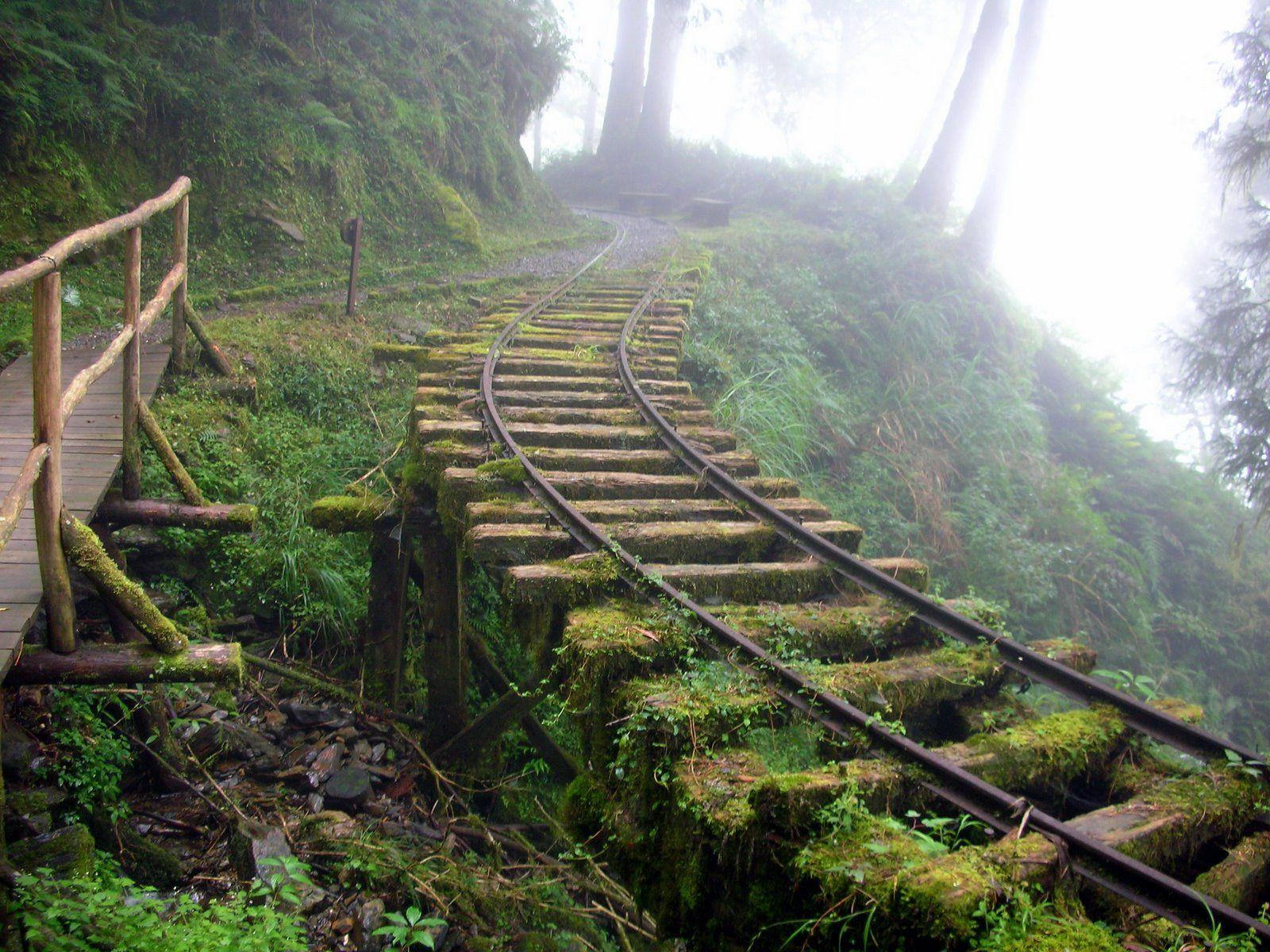 1600x1200 Taiping Mountain Forest Railway HD Wallpaper