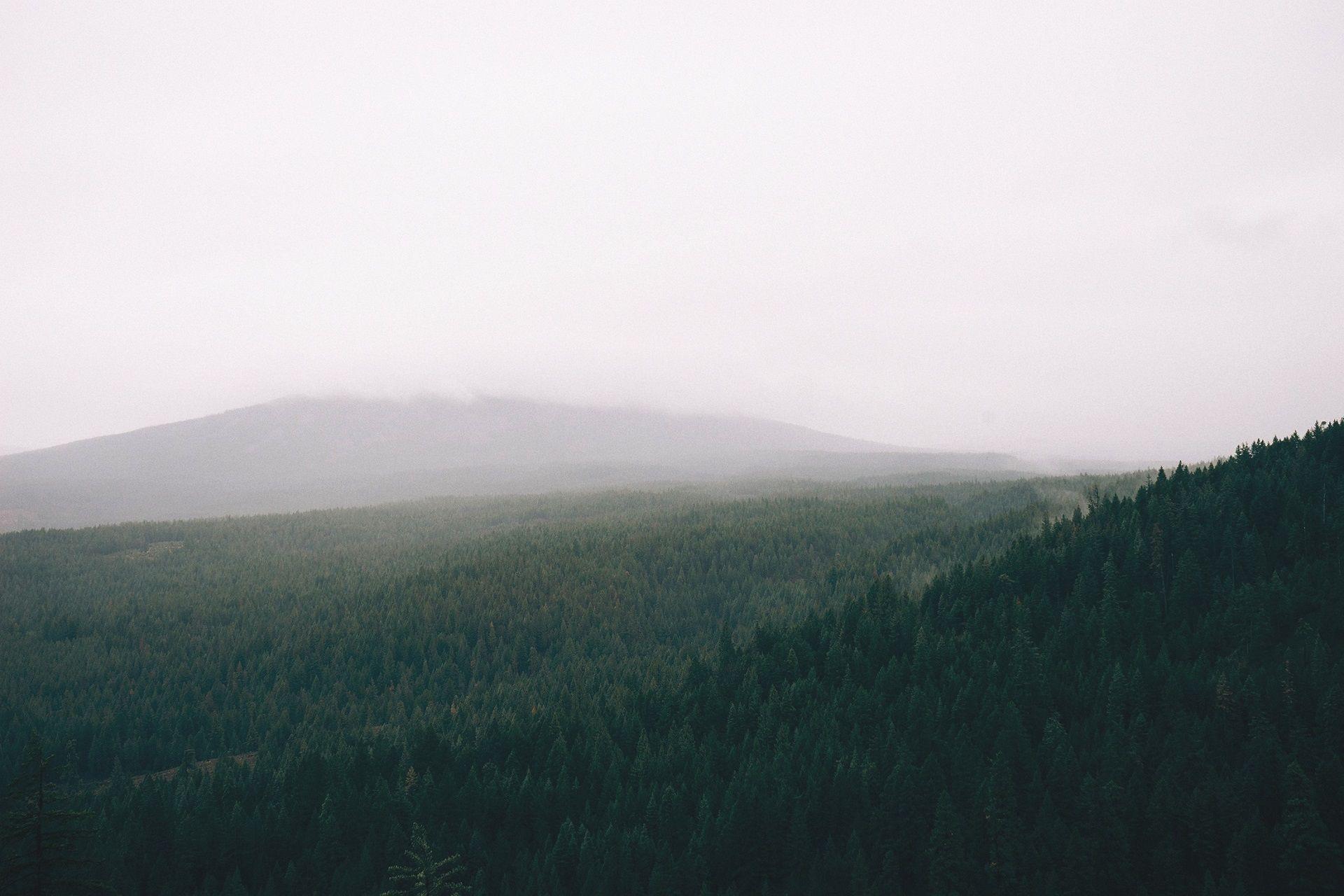 1920x1280 Mountain Forest Wallpaper. HD Wallpaper Background