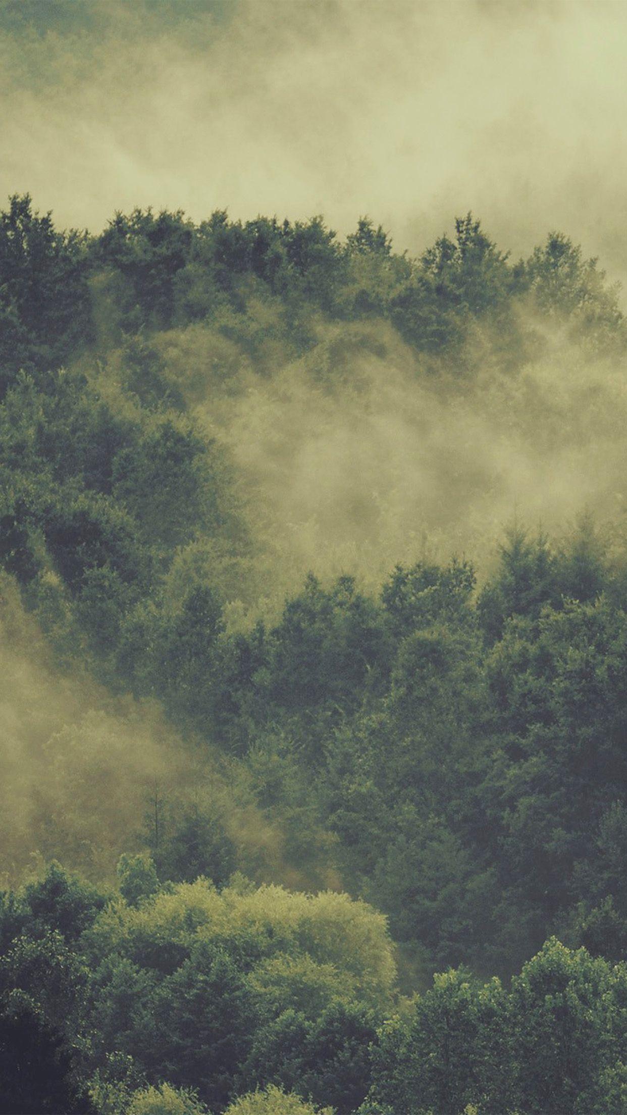 1242x2208 Fores wood fog nature green mountain Download Free Wallpaper for iPhone 6