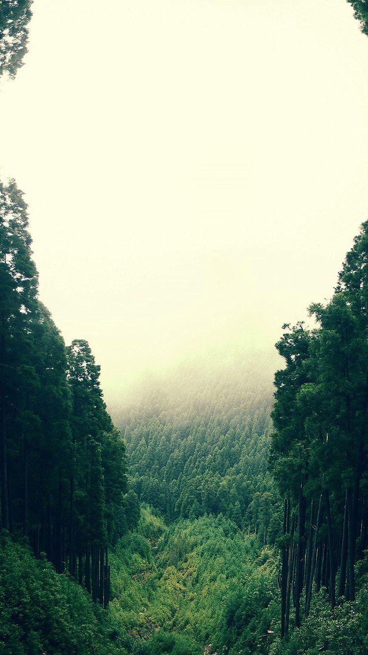 750x1334 Lush Green Mountain Valley Canopy Mist iPhone 6 Wallpaper HD