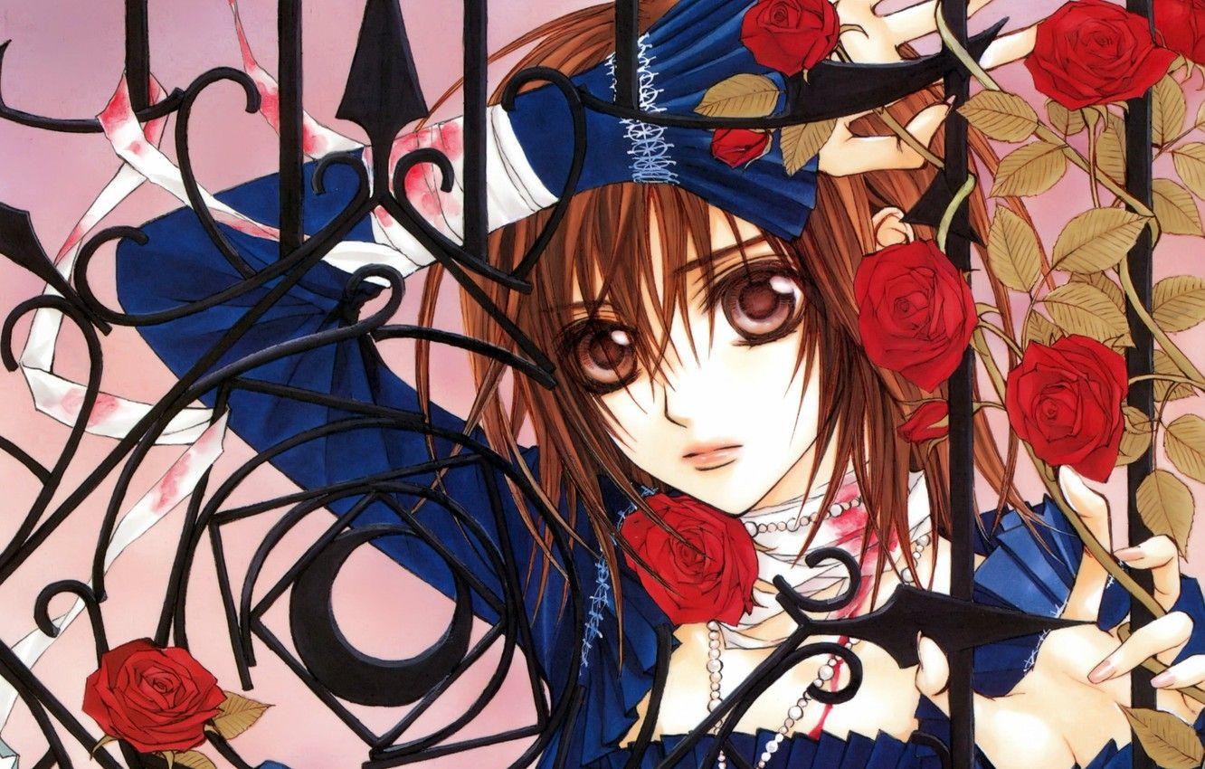 Vampire Knight Anime Wallpapers Top Free Vampire Knight Anime Backgrounds Wallpaperaccess We have a massive amount of hd images that will make your computer or smartphone look absolutely fresh. vampire knight anime wallpapers top