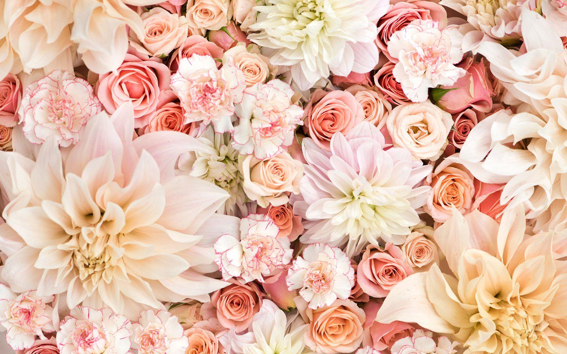 Big Pink Flowers Aesthetic Wallpapers  Spring Flowers Wallpapers