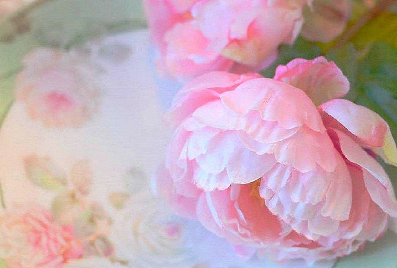 Pastel Floral Desktop Wallpaper