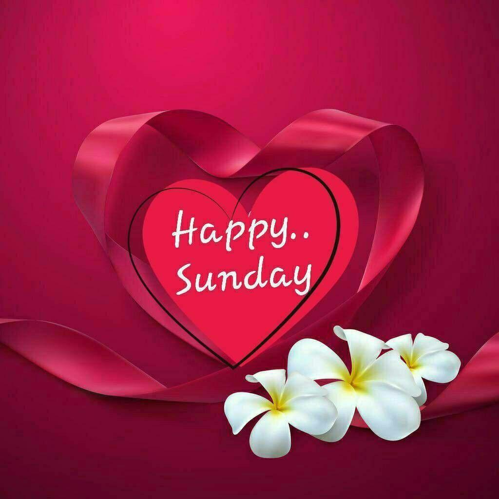 Happy Sunday Wallpapers - Top Free Happy Sunday Backgrounds ...