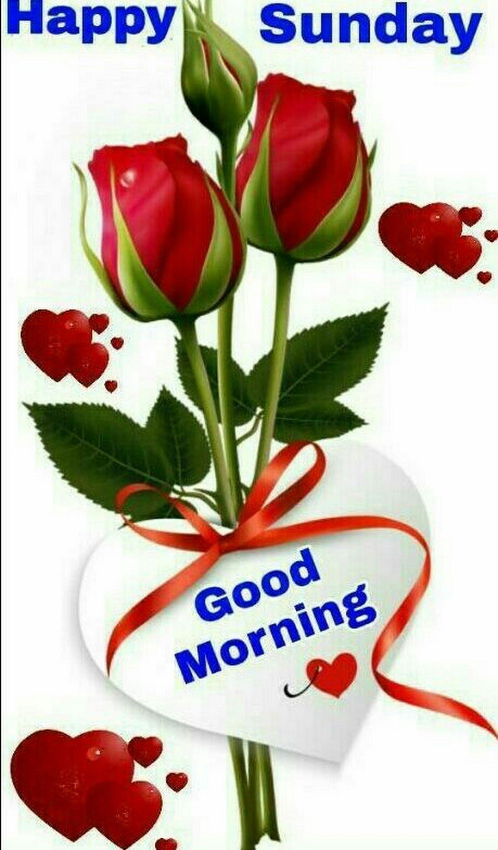 1590x2712 Sign in. Good morning happy sunday, Happy sunday image, Happy sunday morning