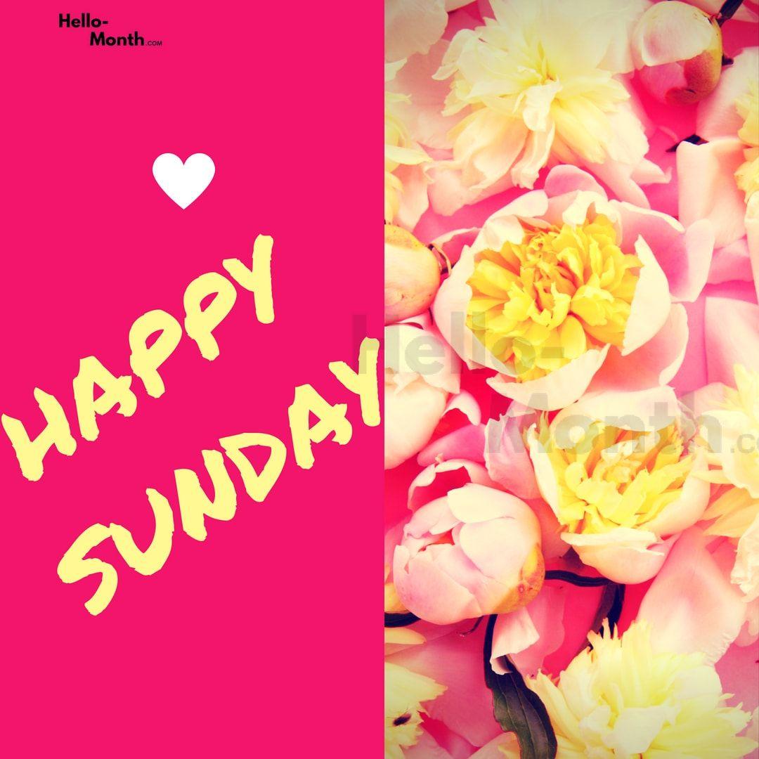 Happy Sunday Wallpapers Top Free Happy Sunday Backgrounds