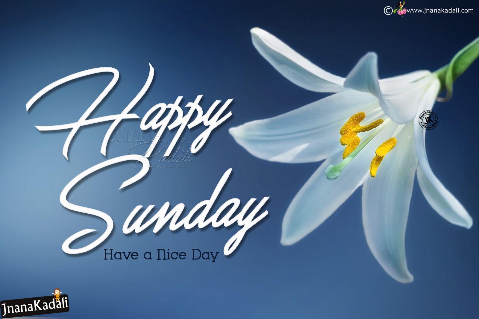1600x1066 Happy Sunday Greetings With HD Wallpaper In English English Happy Sunday Wishes. JNANA KADALI.COM. Telugu Quotes. English Quotes. Hindi Quotes. Tamil Quotes. Dharmasandehalu