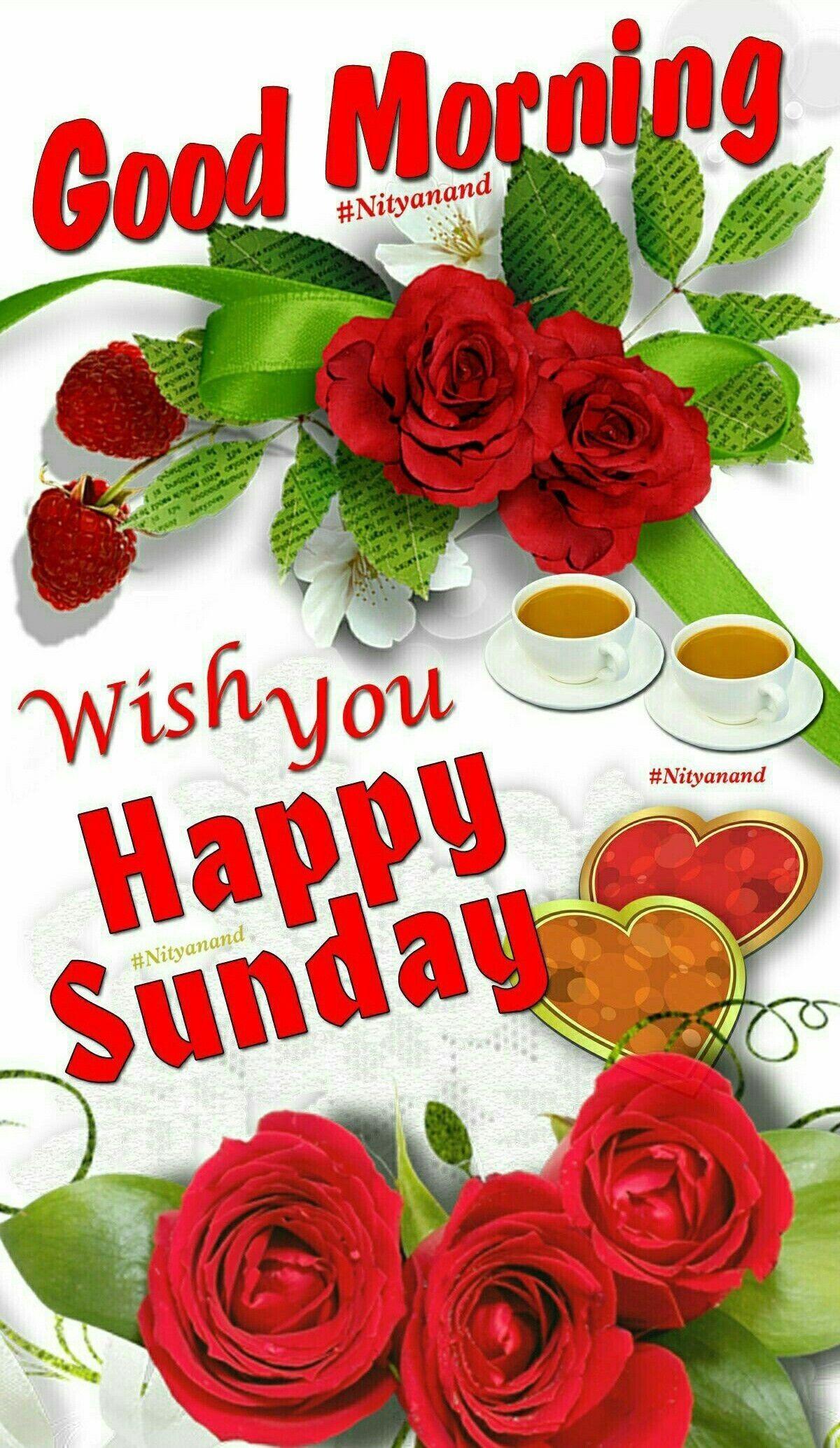 Happy Sunday Wallpapers - Top Free Happy Sunday Backgrounds